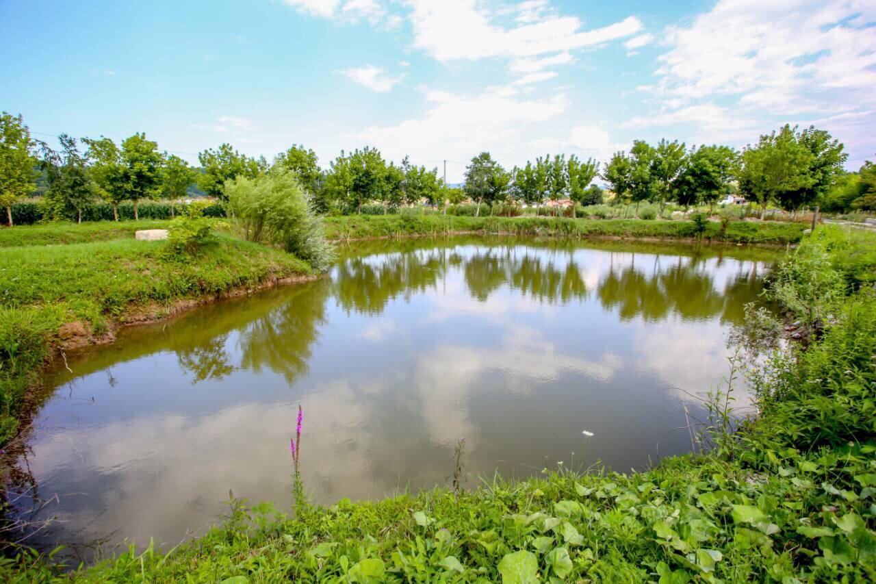 Apartments River Una 5 Bihać Екстериор снимка